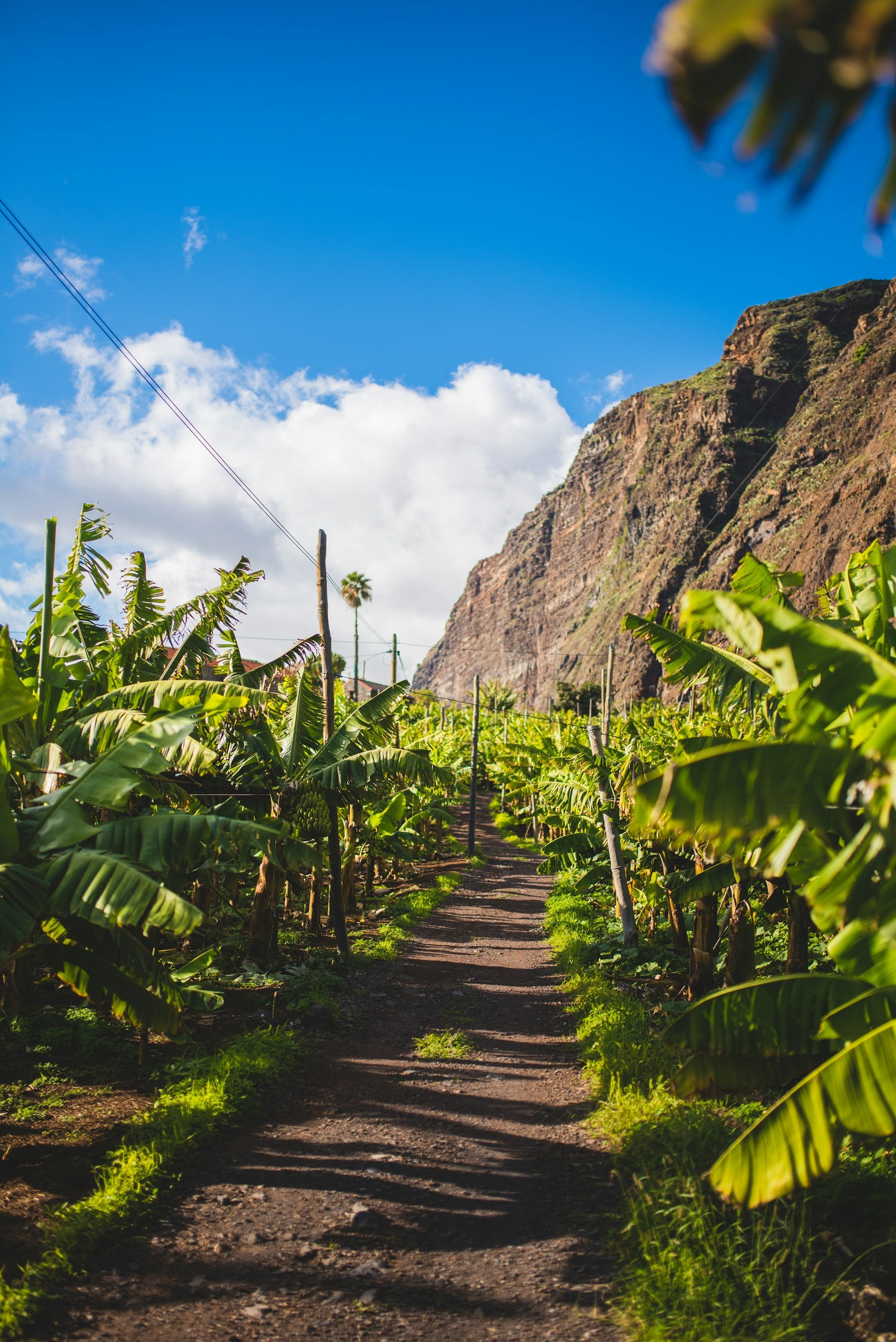 Image of Madeira in Portugal