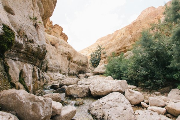 Image of Ein Gedi in Israel
