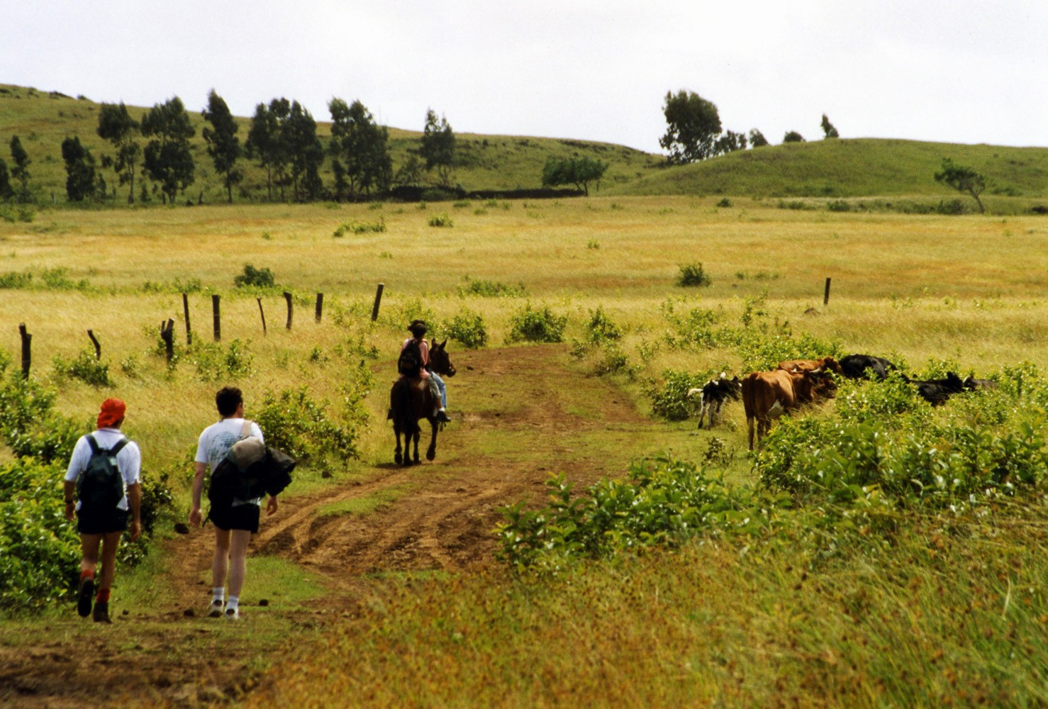 Easter Island Hike | Easter Island in Chile