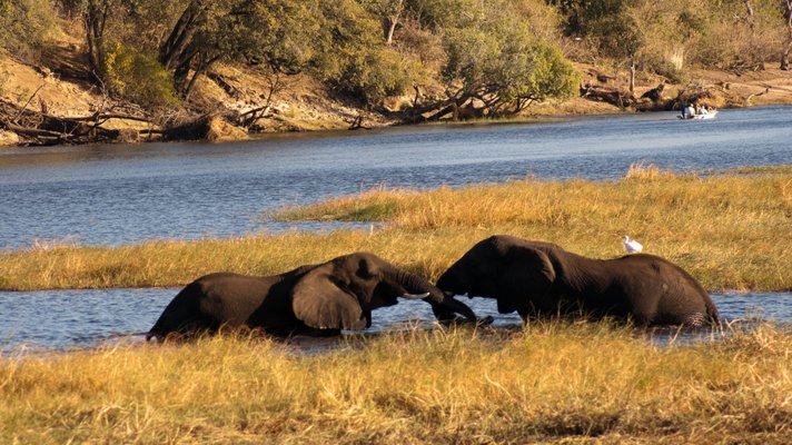 Image of Chobe National Park in Botswana