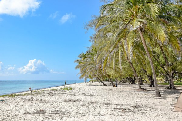 Sandy Beaches of Kenya | Mombasa in Kenya