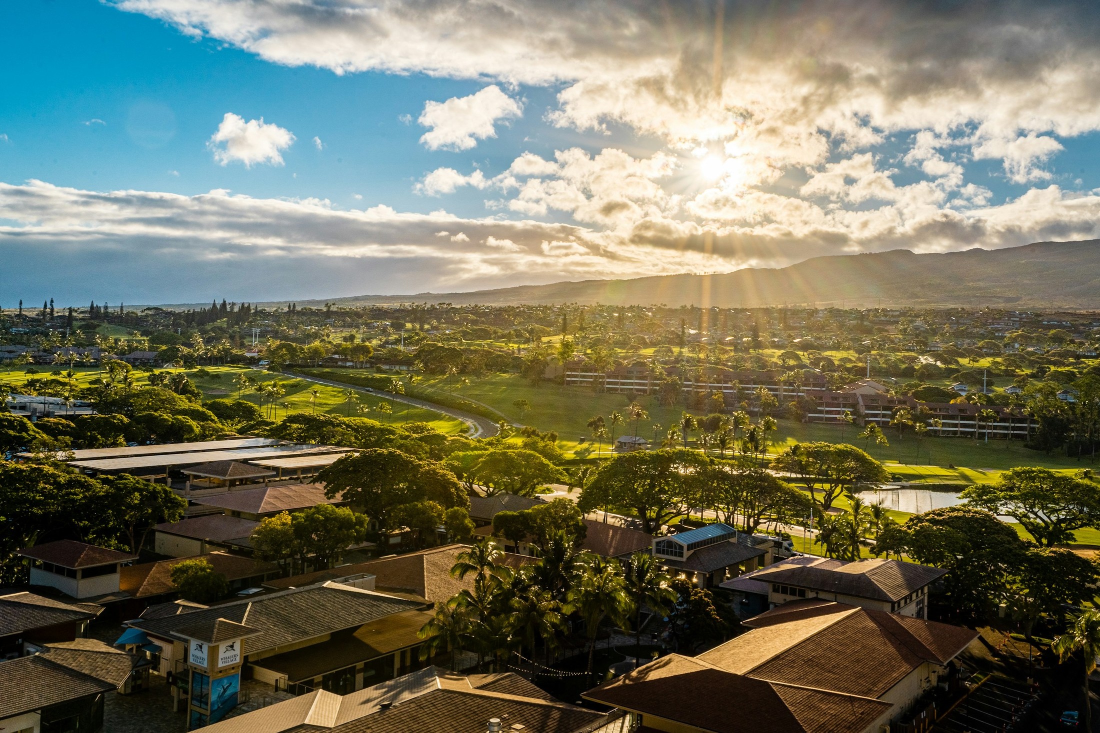 Image of Maui in United States