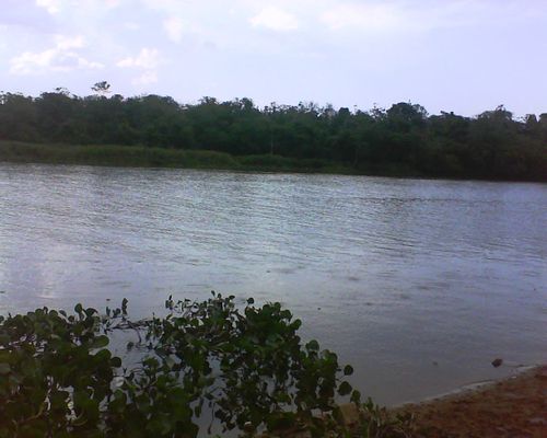 Image of Minga Guazú in Paraguay