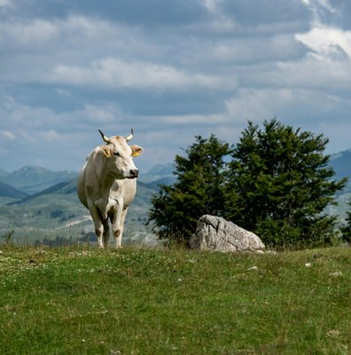 Durmitor National Park