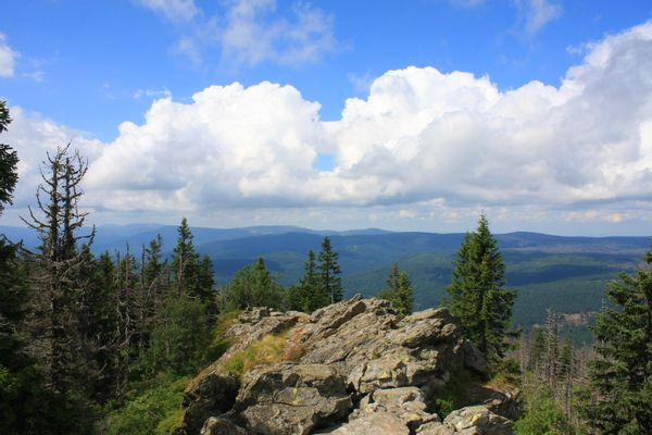 Bavarian Forest National Park