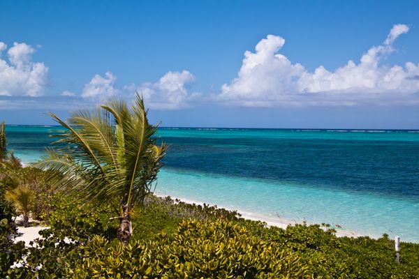 Image of Providenciales in Turks and Caicos Islands