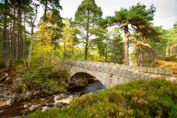 Cairngorms National Park