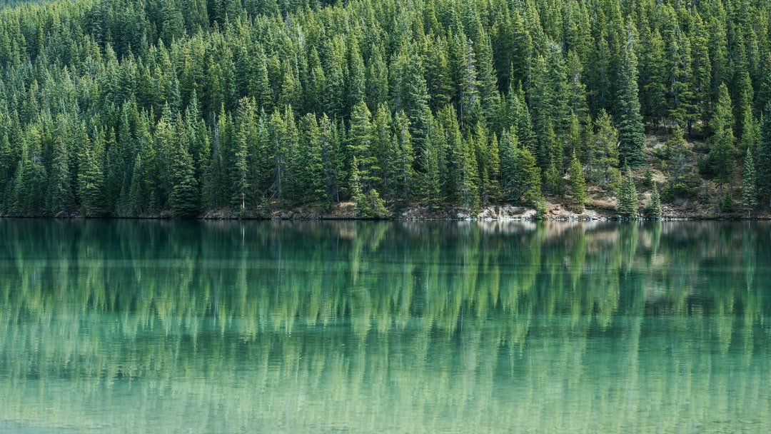 Crystal-clear lake in Banff | Banff National Park in Canada