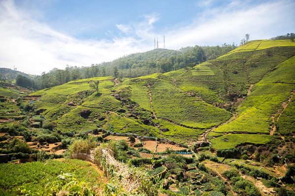 Image of Nuwara Eliya in Sri Lanka