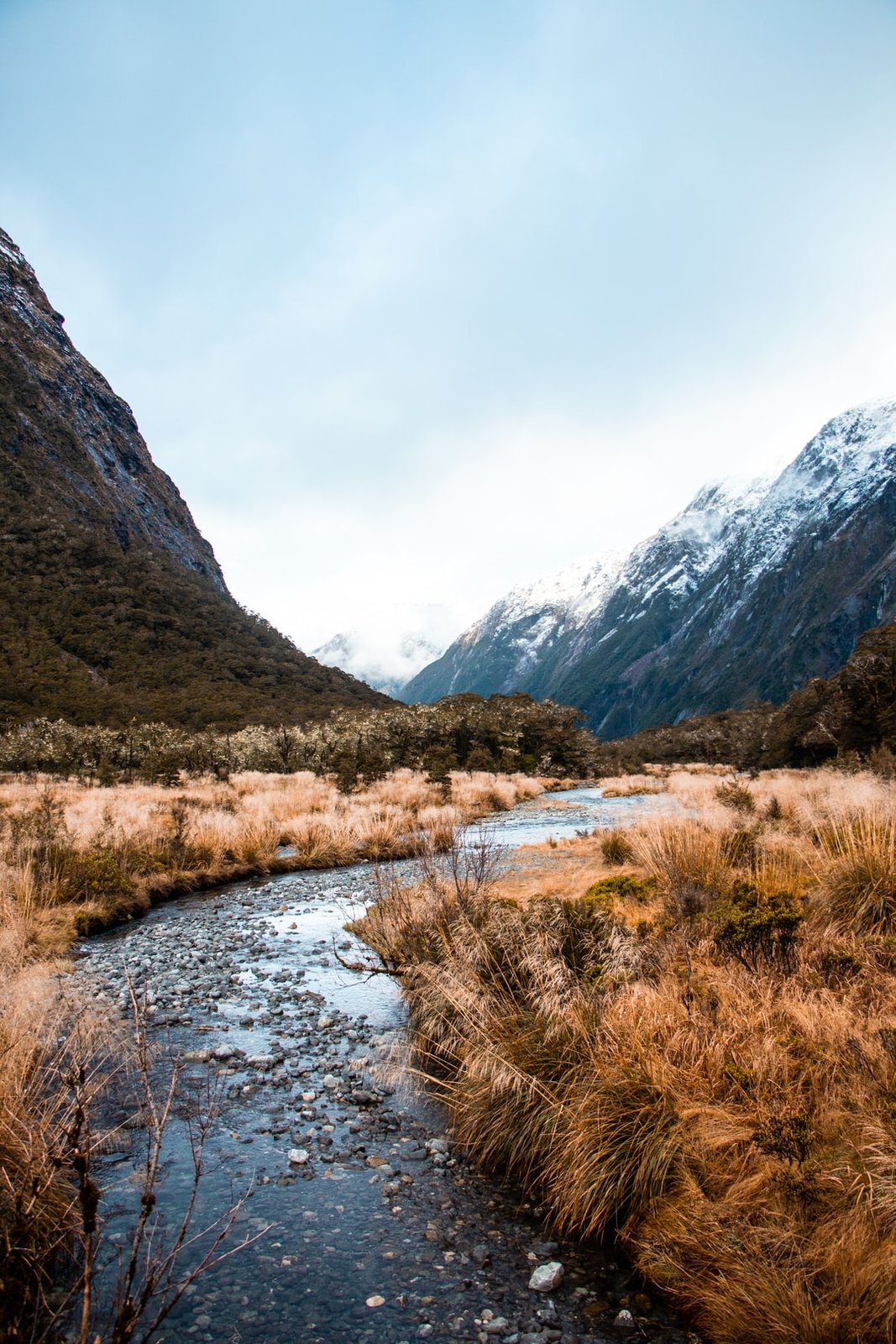 Deep in the valley 
Follow Instagram for more @ _stuartdavies | Milford Sound in New Zealand