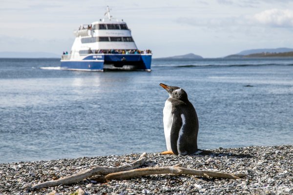 At Ushuaia there is this island called Isla Martillo, and it’s only residents are penguins. I just had to visit this penguin island but of course I’m not the only tourist who wants to do that. And as you can see the next boat full with tourists is already in the background on it’s way. So feeling embarrassed I’m one of the many tourists disturbing the penguins habitat I noticed that the penguins still are very capable of enjoying their lifes. This little fellow for example didn’t mind all the attention and ignored everybody. | Ushuaia in Argentina