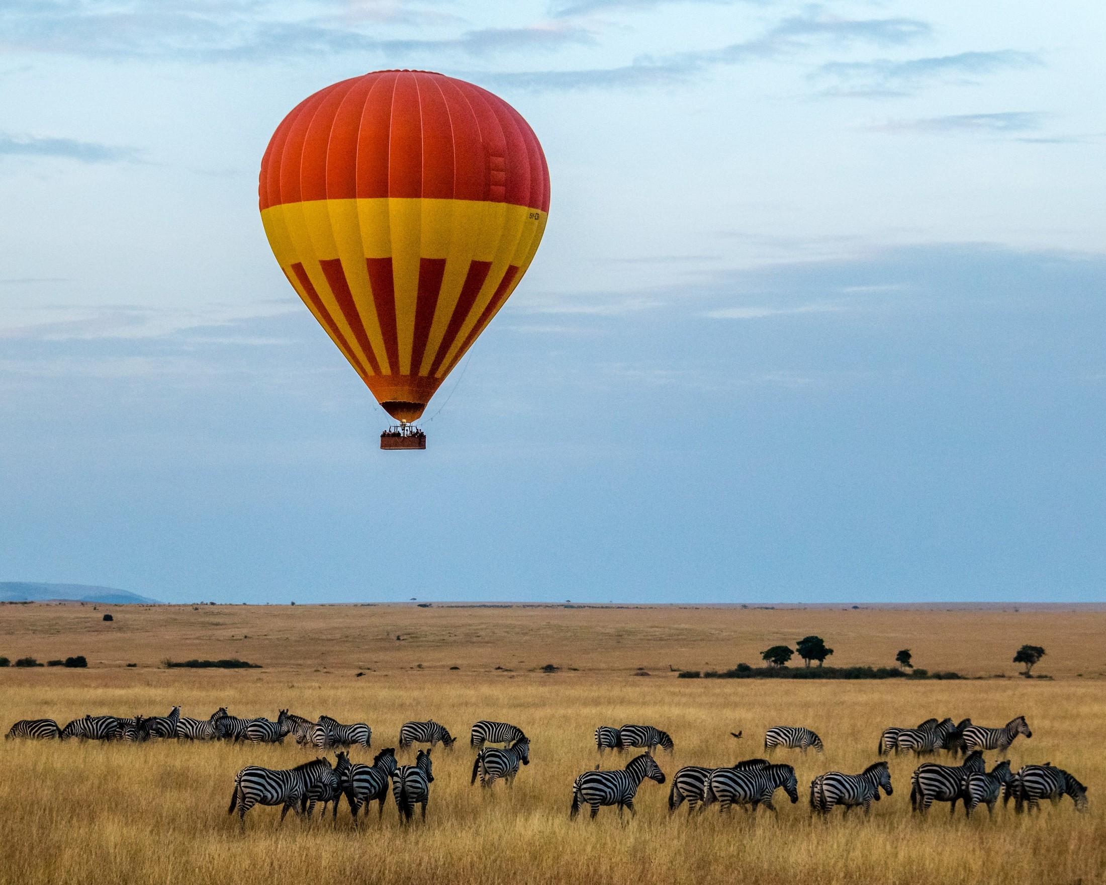 A lone hot air balloon over a herd of zebras. | Maasai Mara National Reserve in Kenya