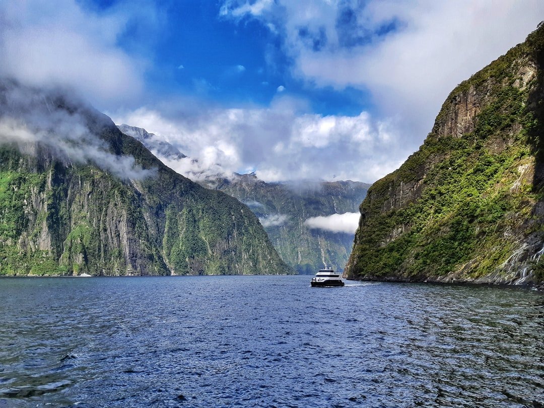 Cruising on a stunning fiord in NZ - Milford Sound.  | Milford Sound in New Zealand