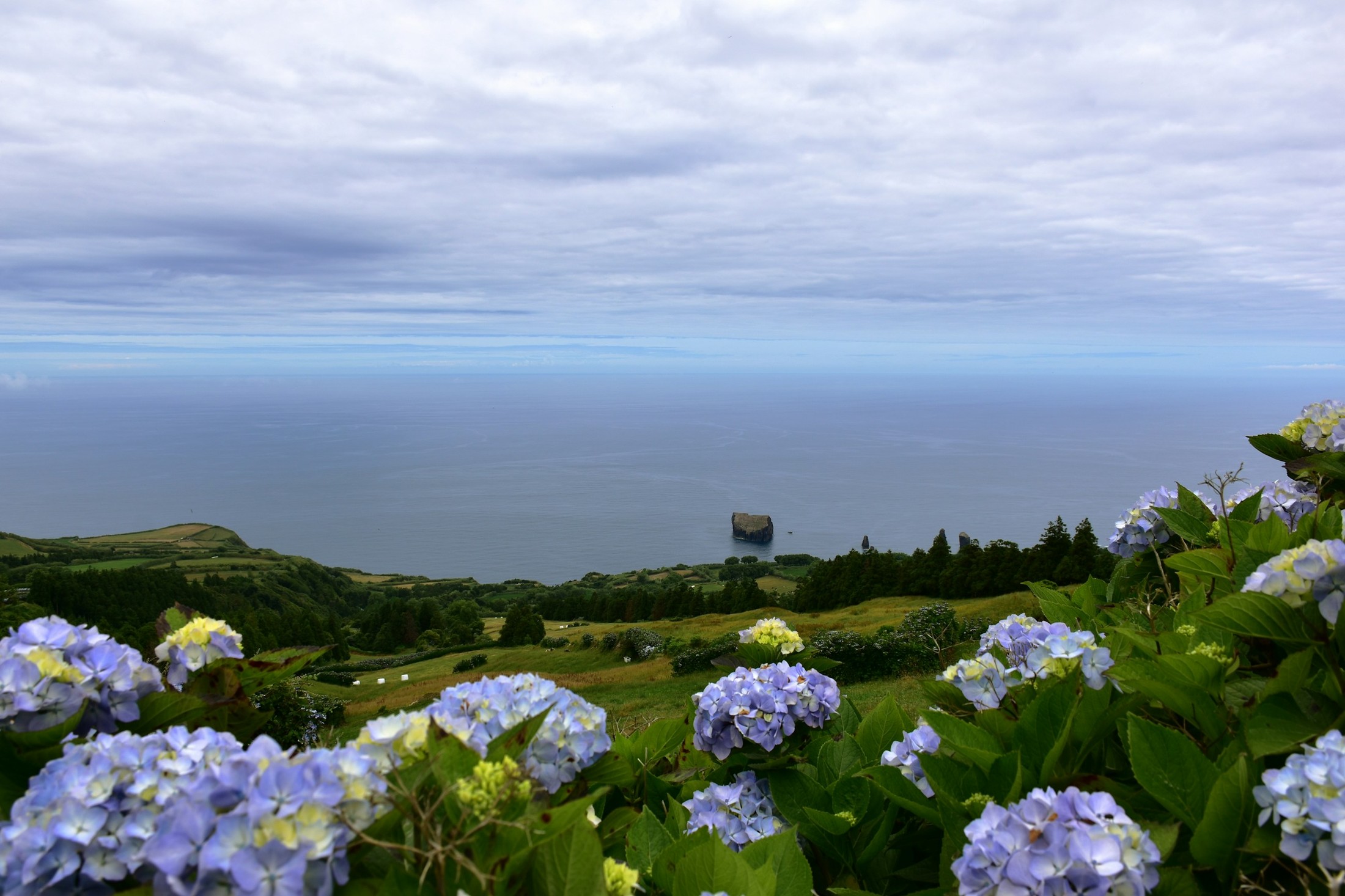 Ocean in sight (Lonely rock) | São Miguel Island in Portugal