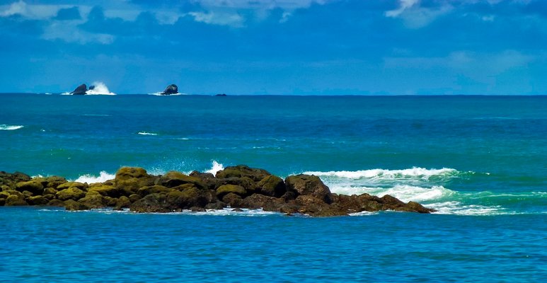 Playa Manuel Antonio | Manuel Antonio National Park in Costa Rica