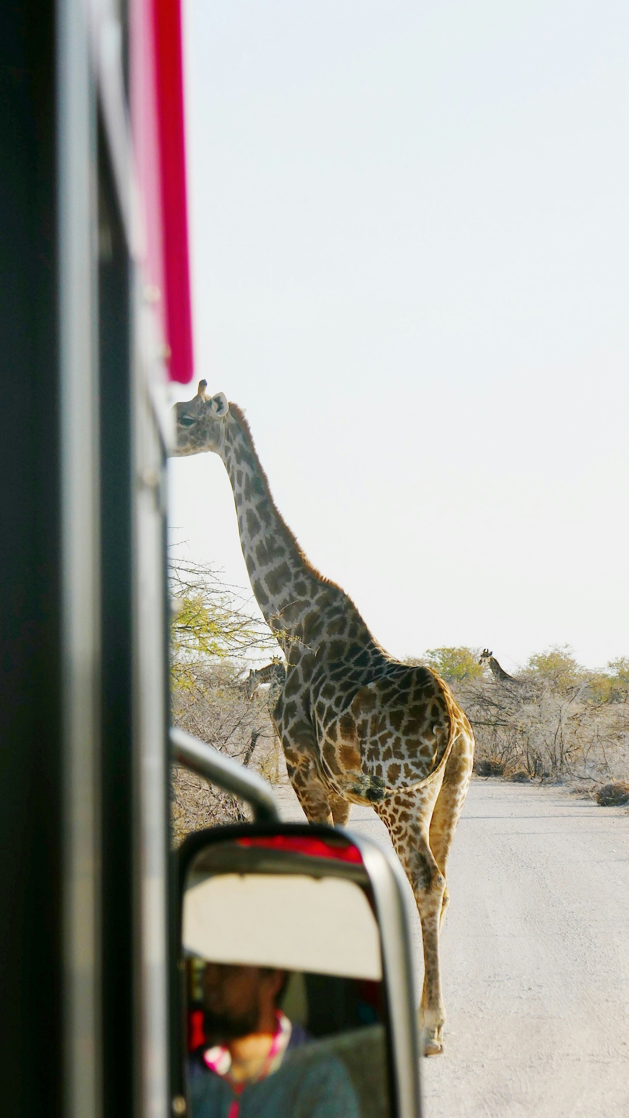 Image of Etosha National Park in Namibia