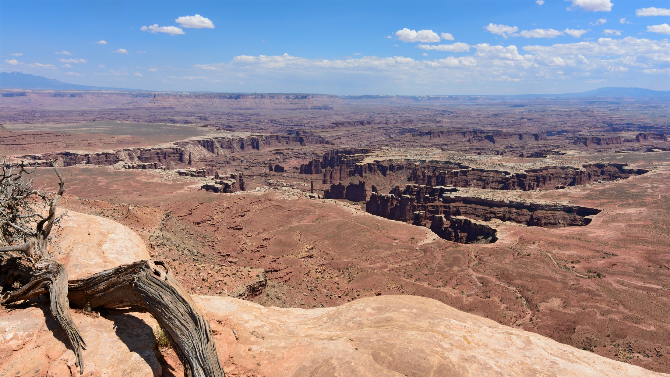 A view from Grand View Point Overlook toward Monument Basin, Island in the Sky district in Canyonlands National Park, Utah, United States. | Canyonlands National Park in United States