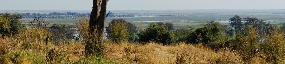 Image of Chobe National Park in Botswana
