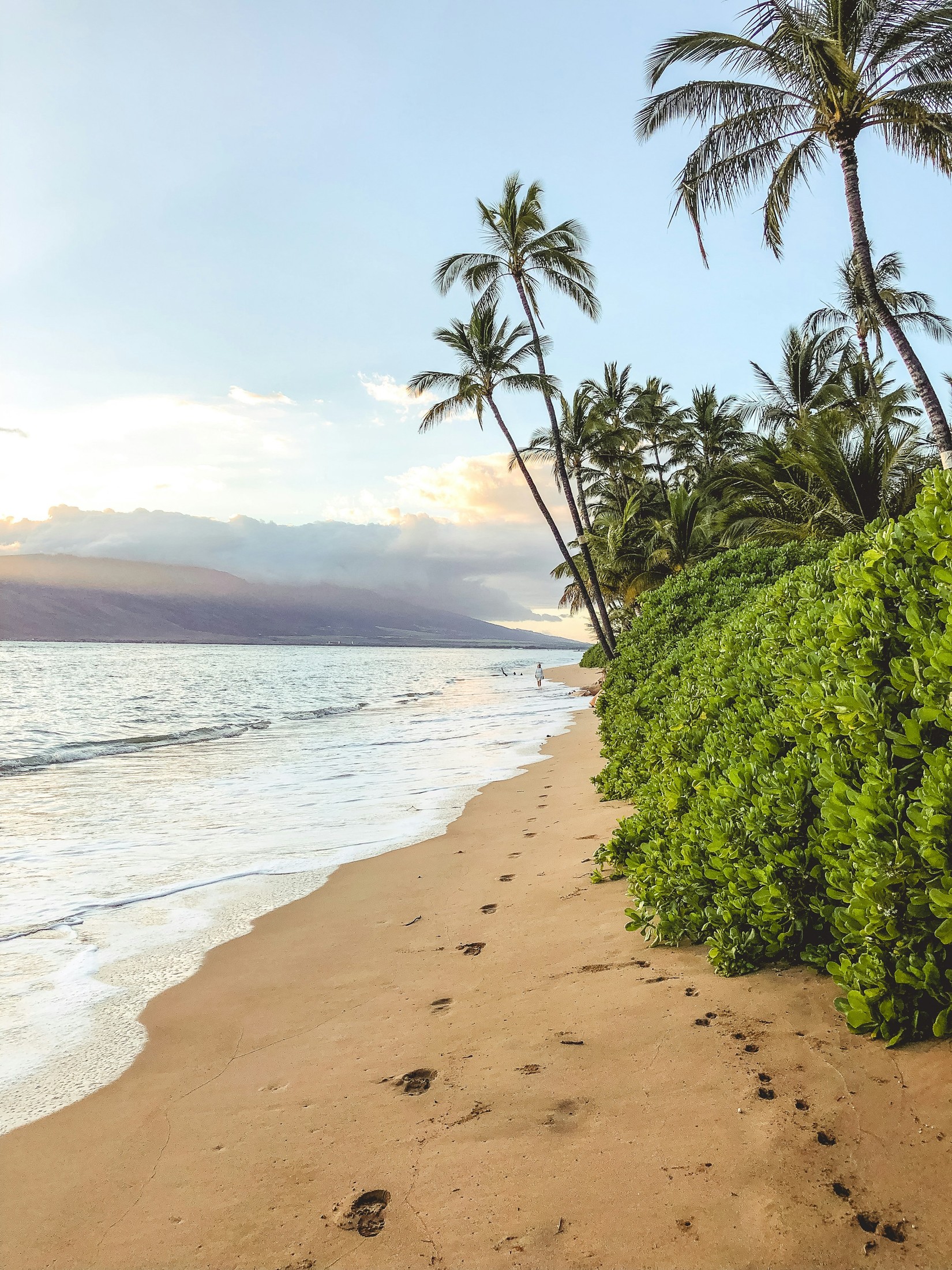 Image of Maui in United States
