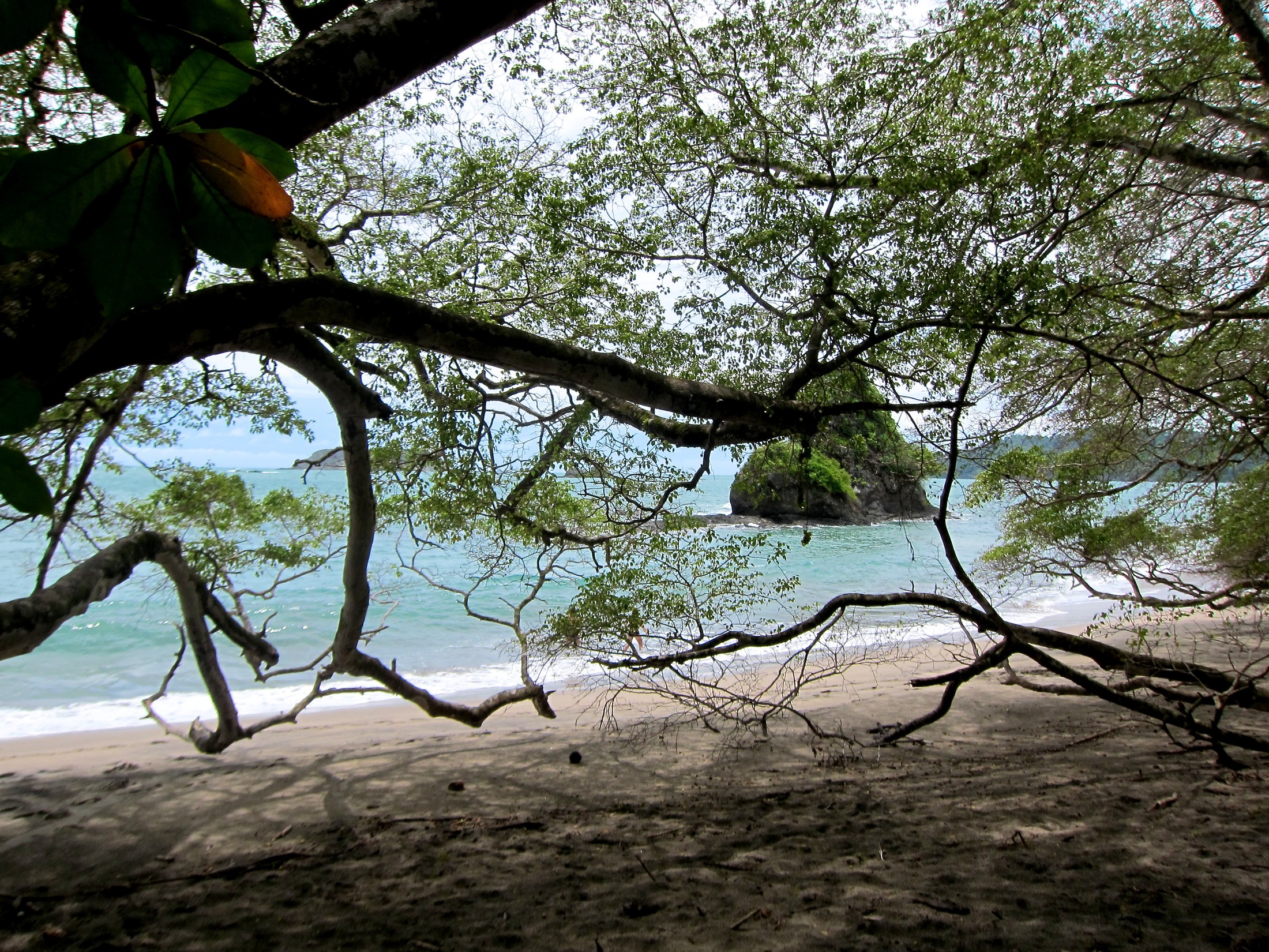 Beach at Manuel Antonio National Park | Manuel Antonio National Park in Costa Rica