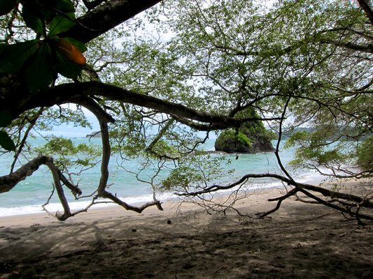 Beach at Manuel Antonio National Park | Manuel Antonio National Park in Costa Rica