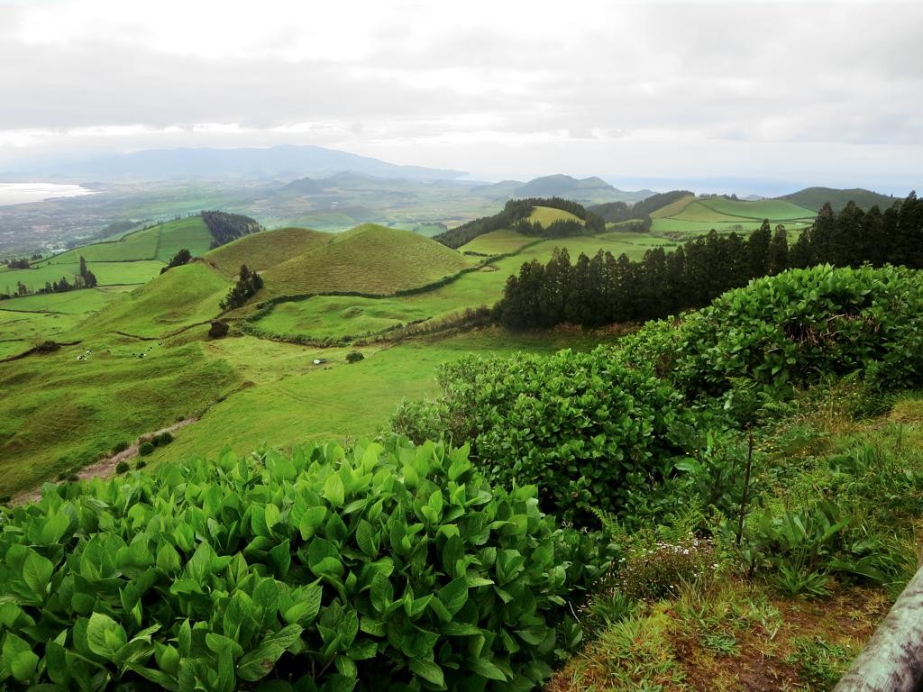 Central Sao Miguel | São Miguel Island in Portugal