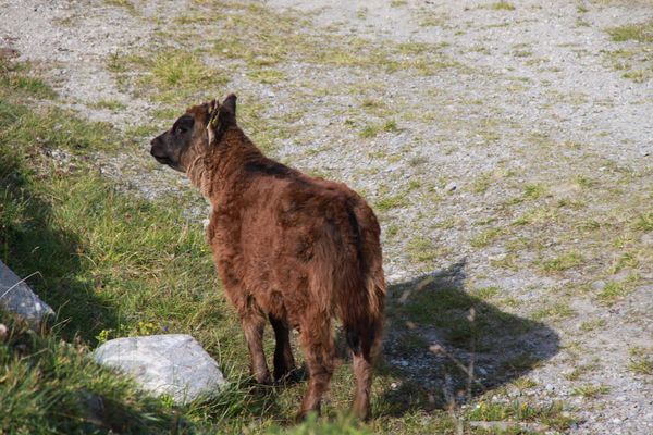 High Tauern National Park
