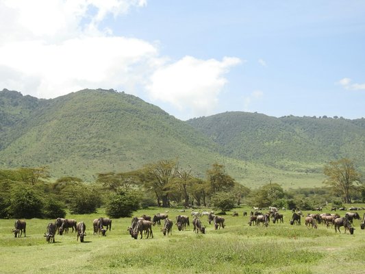 Image of Ngorongoro Conservation Area in Tanzania