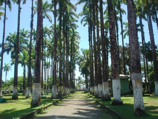 DSC02127, Limon, Costa Rica | Limón in Costa Rica