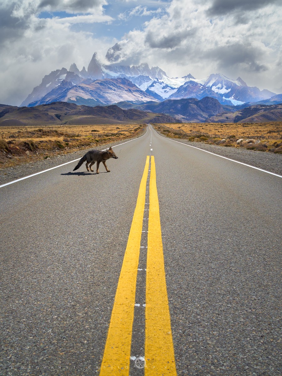 Heading home | El Chaltén in Argentina