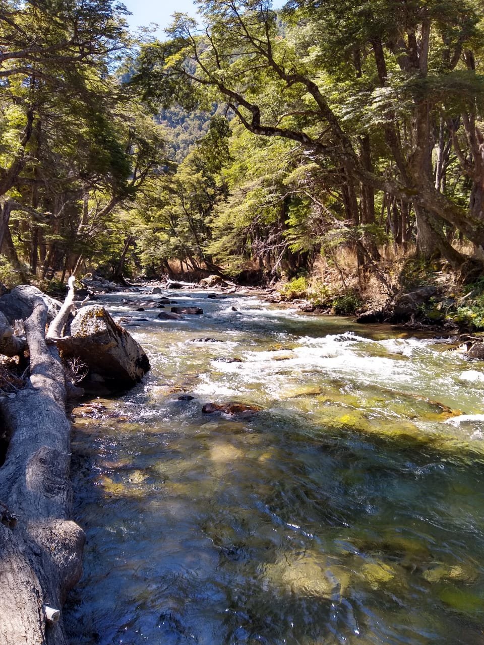 Este es un arroyo que esta situado camino a los 7 Lagos de la Ciudad de Villa la Angostura. | Villa La Angostura in Argentina