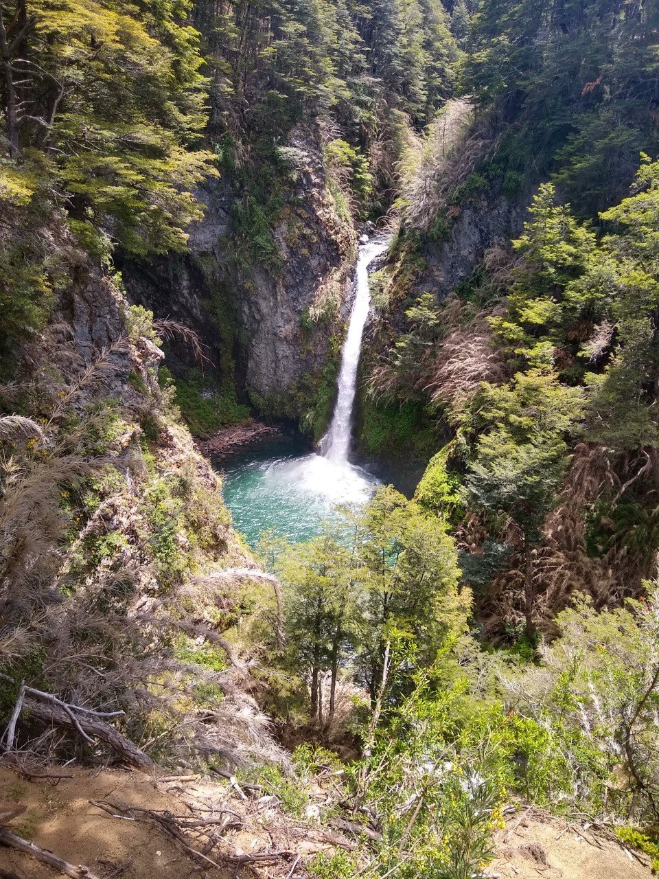 Foto tomada en bosque en donde se encuentra la casacada de Rio Bonito | Villa La Angostura in Argentina