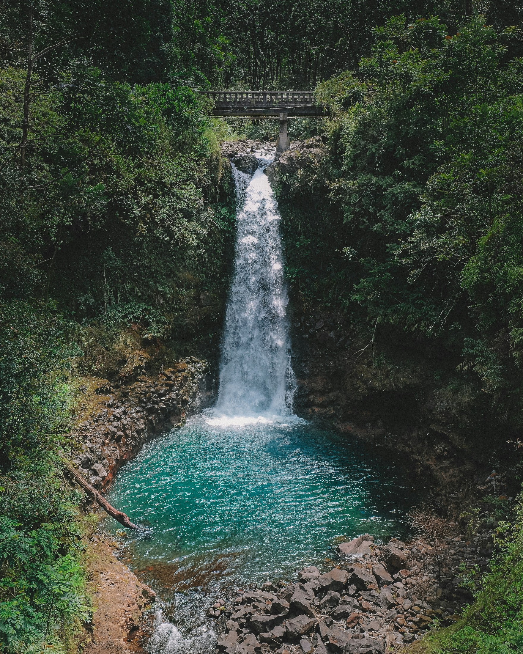 Image of Maui in United States