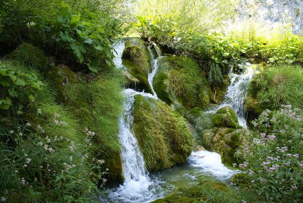Water streams in Plitvice Lakes National Park | Plitvice Lakes National Park in Croatia