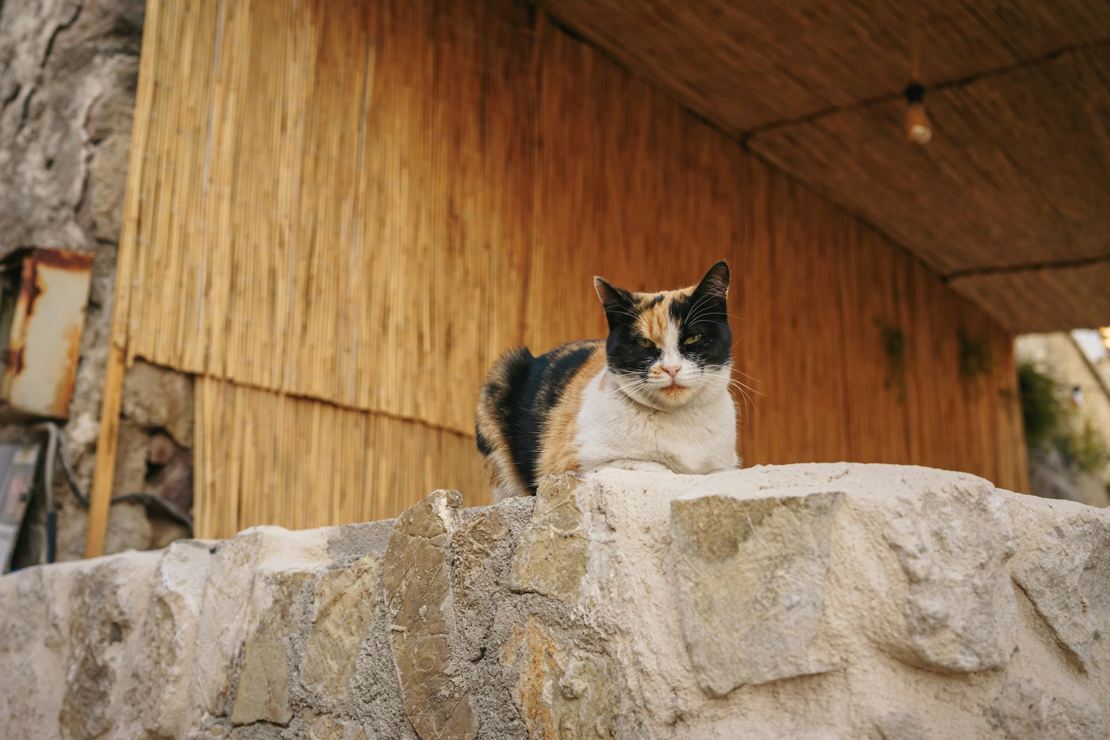 Goreme, Cappadocia, Turkiye, November 2022 | Göreme National Park in Turkey