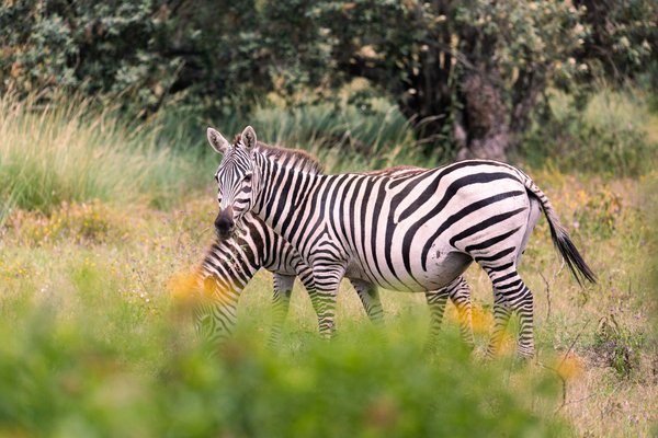 Image of Nakuru in Kenya