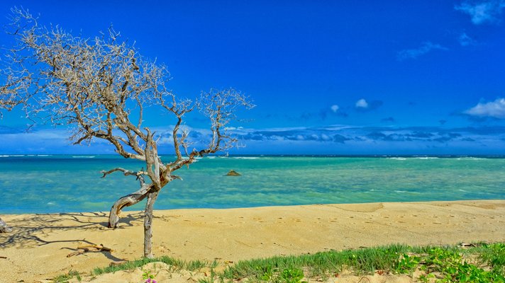 Image of Kahului in United States