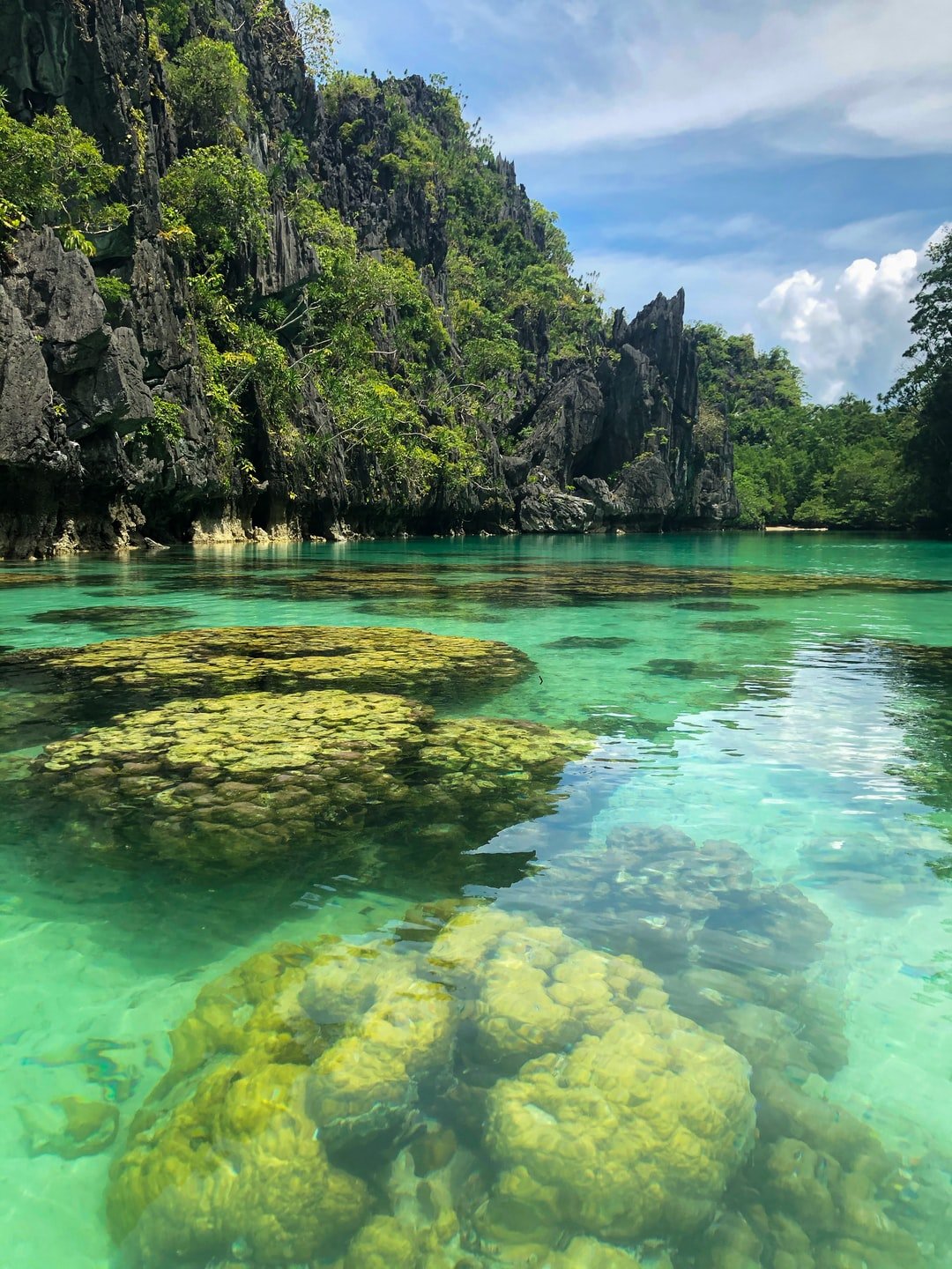 Big Lagoon Coral Reef - Just beautiful! | Palawan in Philippines