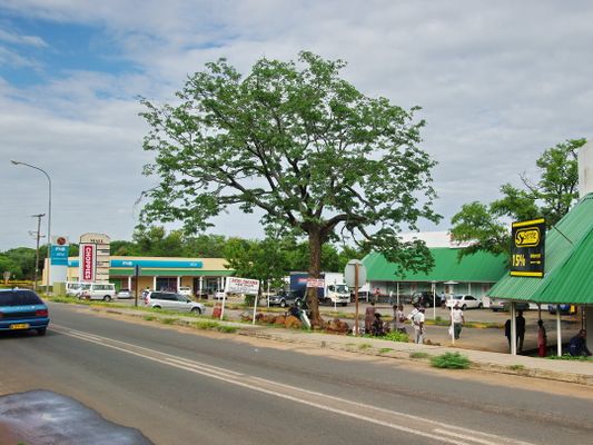 an der Hauptstraße von Kasane | Kasane in Botswana