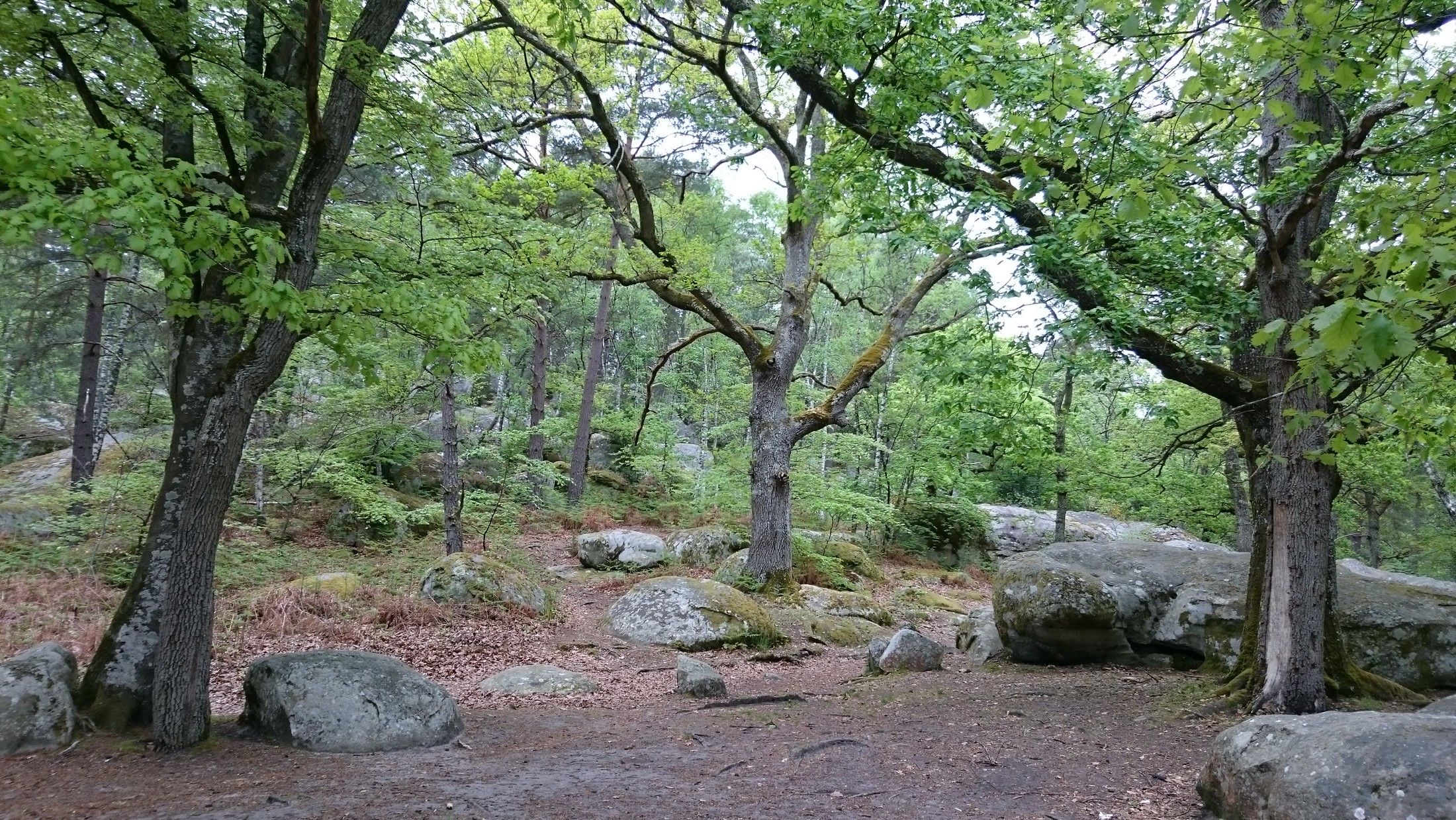 Fontainebleau | Fontainebleau in France