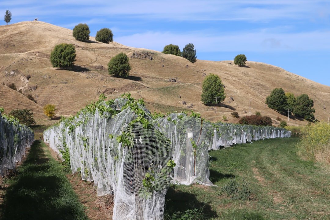 Image of Napier in New Zealand