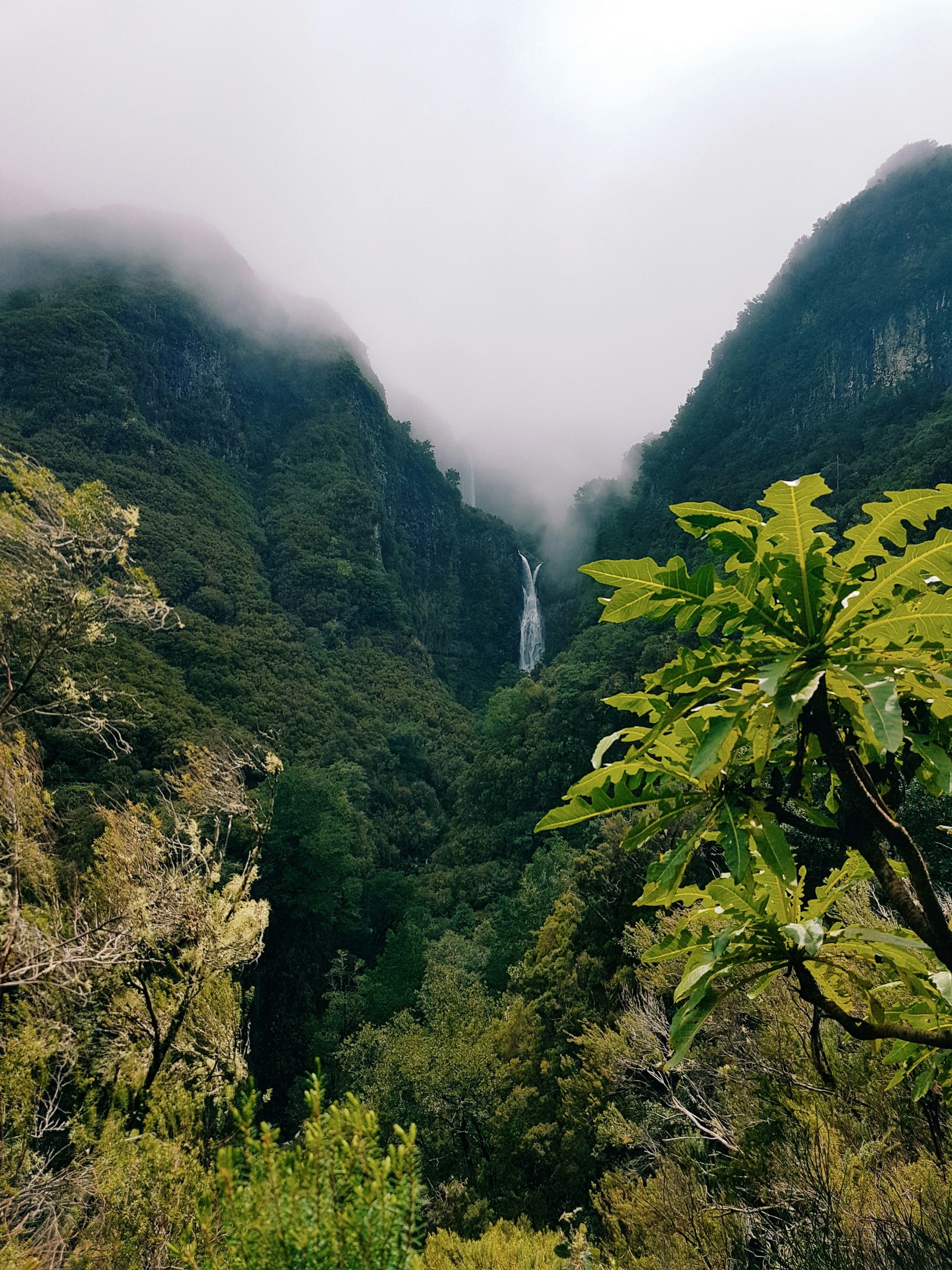 Image of Madeira in Portugal